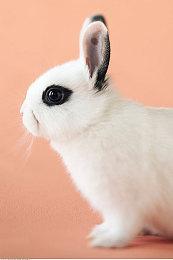 《兽人必须死！3》新DLC“冻眼逼人”现已上线Steam 售价32元